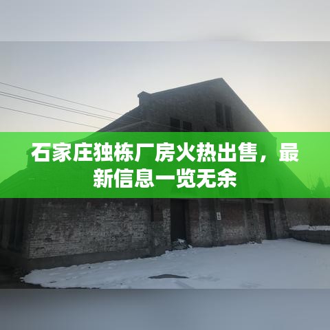 石家莊獨棟廠房火熱出售，最新信息一覽無余