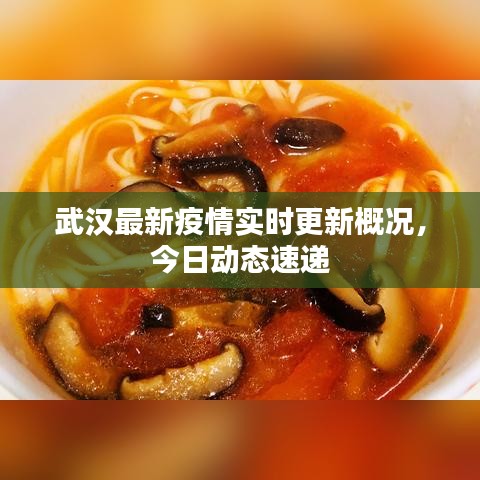 武漢最新疫情實時更新概況，今日動態(tài)速遞