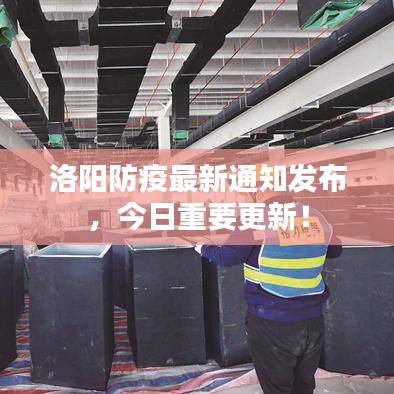 洛陽(yáng)防疫最新通知發(fā)布，今日重要更新！