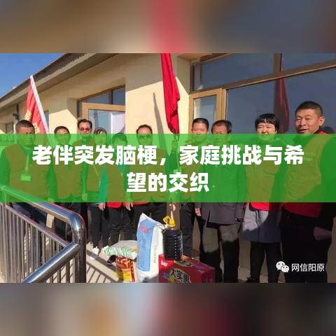 老伴突發(fā)腦梗，家庭挑戰(zhàn)與希望的交織