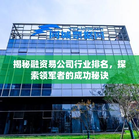 揭秘融資易公司行業(yè)排名，探索領(lǐng)軍者的成功秘訣