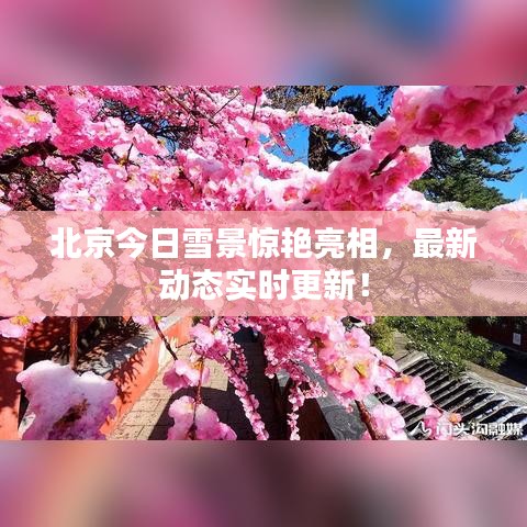 北京今日雪景驚艷亮相，最新動(dòng)態(tài)實(shí)時(shí)更新！