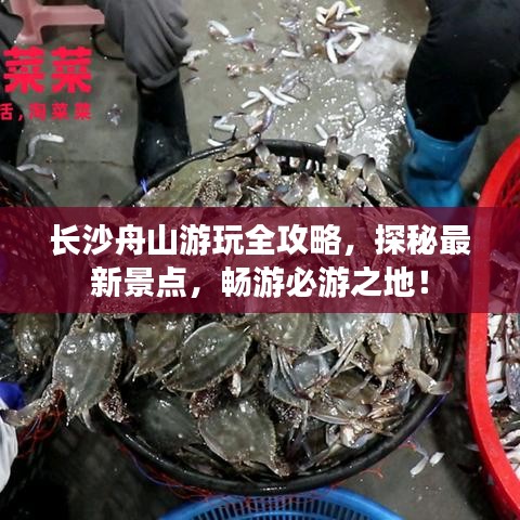 長沙舟山游玩全攻略，探秘最新景點，暢游必游之地！