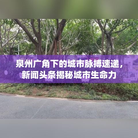 泉州廣角下的城市脈搏速遞，新聞?lì)^條揭秘城市生命力