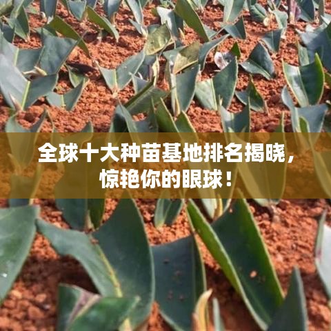 全球十大種苗基地排名揭曉，驚艷你的眼球！