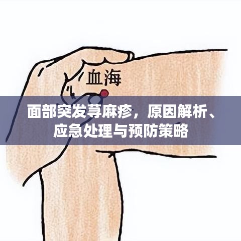 面部突發(fā)蕁麻疹，原因解析、應(yīng)急處理與預(yù)防策略
