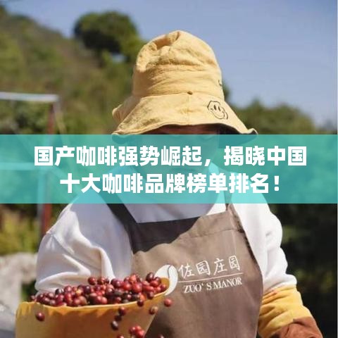 國產(chǎn)咖啡強勢崛起，揭曉中國十大咖啡品牌榜單排名！
