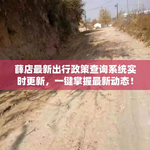 薛店最新出行政策查詢系統(tǒng)實(shí)時(shí)更新，一鍵掌握最新動(dòng)態(tài)！