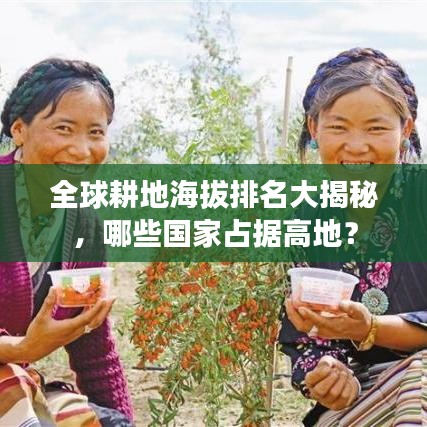 全球耕地海拔排名大揭秘，哪些國家占據(jù)高地？