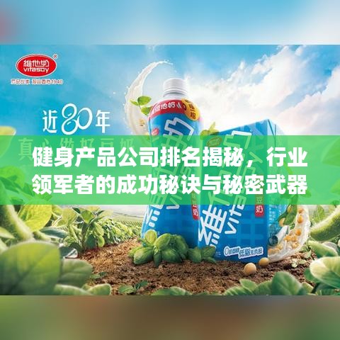 健身產(chǎn)品公司排名揭秘，行業(yè)領(lǐng)軍者的成功秘訣與秘密武器