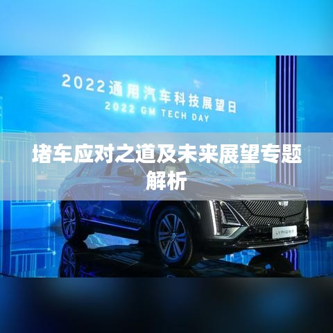 堵車應(yīng)對之道及未來展望專題解析