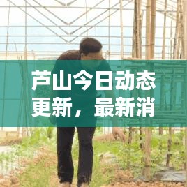 蘆山今日動態(tài)更新，最新消息匯總