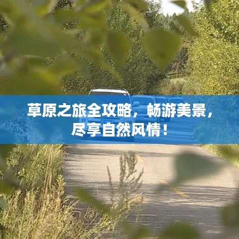 草原之旅全攻略，暢游美景，盡享自然風(fēng)情！