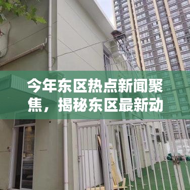今年?yáng)|區(qū)熱點(diǎn)新聞聚焦，揭秘東區(qū)最新動(dòng)態(tài)