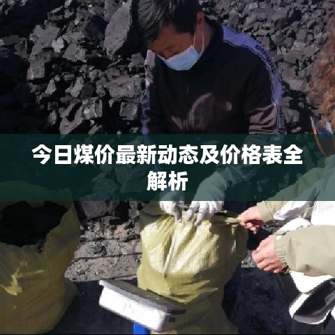 今日煤價最新動態(tài)及價格表全解析