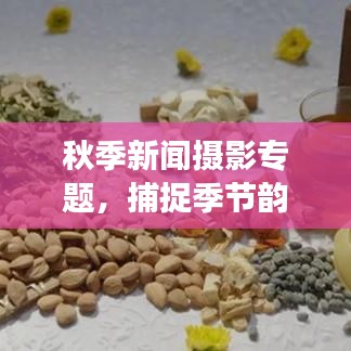 秋季新聞攝影專題，捕捉季節(jié)韻味與時(shí)代脈搏的絕美瞬間