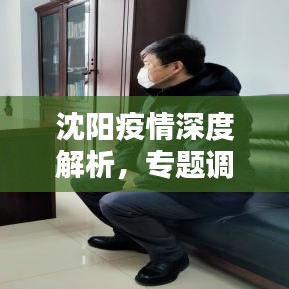 沈陽疫情深度解析，專題調(diào)查報告