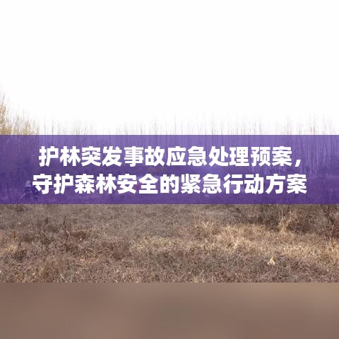 護林突發(fā)事故應急處理預案，守護森林安全的緊急行動方案