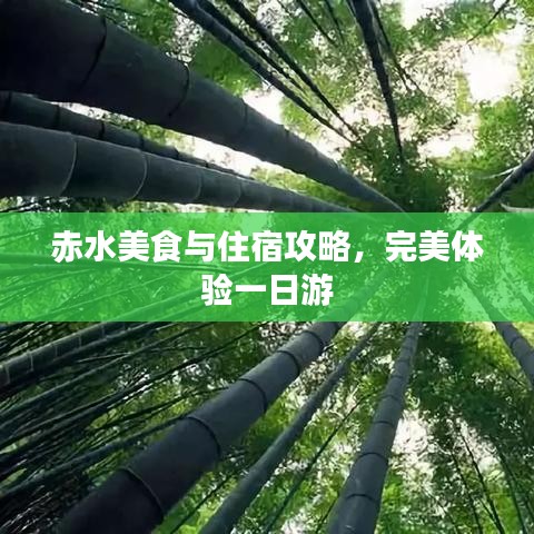 赤水美食與住宿攻略，完美體驗(yàn)一日游