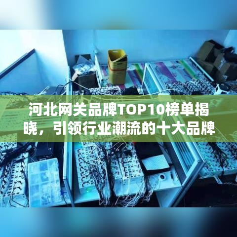 河北網(wǎng)關品牌TOP10榜單揭曉，引領行業(yè)潮流的十大品牌