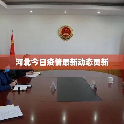 河北今日疫情最新動態(tài)更新