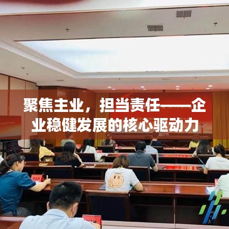 聚焦主業(yè)，擔(dān)當(dāng)責(zé)任——企業(yè)穩(wěn)健發(fā)展的核心驅(qū)動(dòng)力