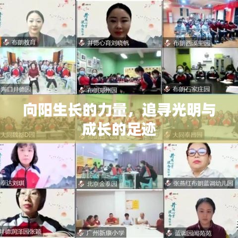 向陽(yáng)生長(zhǎng)的力量，追尋光明與成長(zhǎng)的足跡