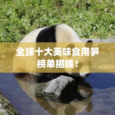 全球十大美味食用筍榜單揭曉！