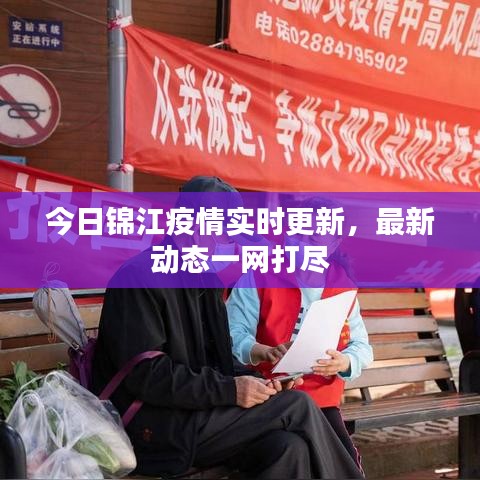 今日錦江疫情實時更新，最新動態(tài)一網(wǎng)打盡