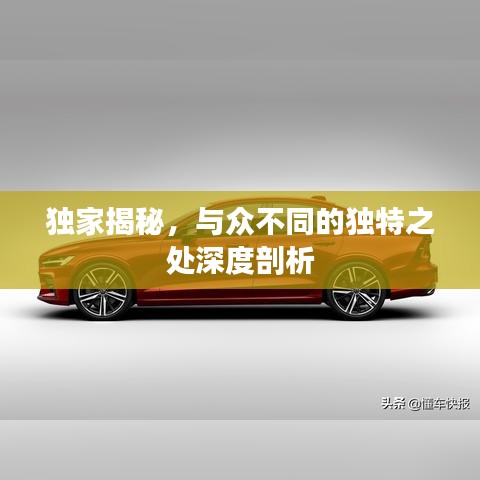 獨(dú)家揭秘，與眾不同的獨(dú)特之處深度剖析