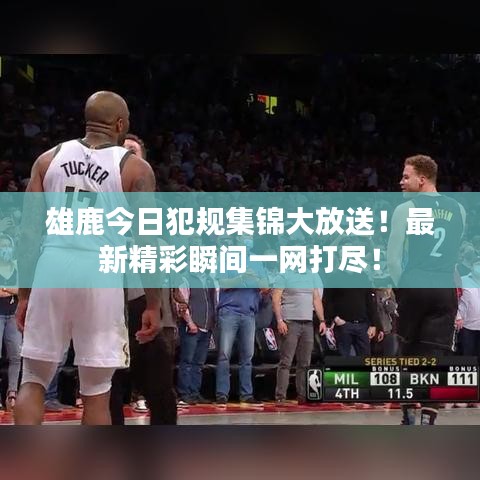 雄鹿今日犯規(guī)集錦大放送！最新精彩瞬間一網(wǎng)打盡！