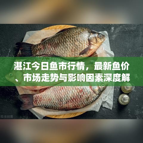 湛江今日魚(yú)市行情，最新魚(yú)價(jià)、市場(chǎng)走勢(shì)與影響因素深度解析