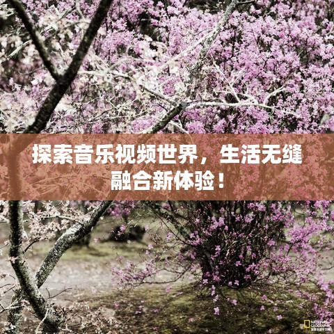 探索音樂視頻世界，生活無縫融合新體驗！