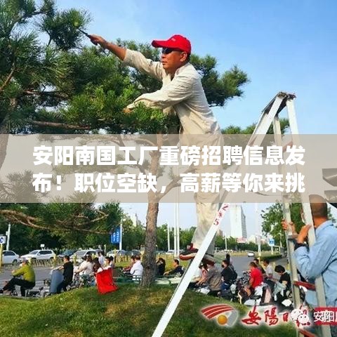安陽南國工廠重磅招聘信息發(fā)布！職位空缺，高薪等你來挑戰(zhàn)！