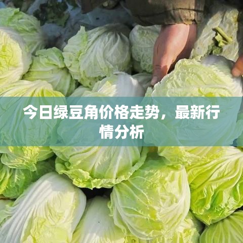 今日綠豆角價(jià)格走勢，最新行情分析