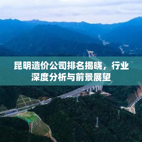 昆明造價(jià)公司排名揭曉，行業(yè)深度分析與前景展望