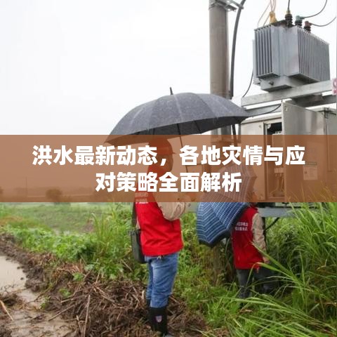 洪水最新動(dòng)態(tài)，各地災(zāi)情與應(yīng)對(duì)策略全面解析