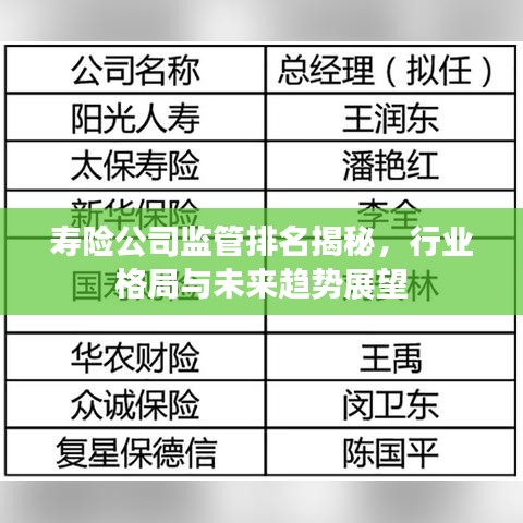 壽險公司監(jiān)管排名揭秘，行業(yè)格局與未來趨勢展望
