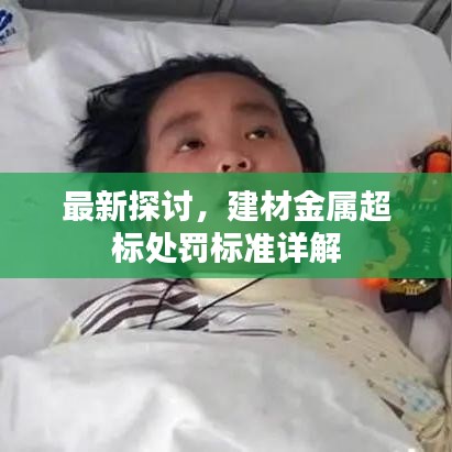 最新探討，建材金屬超標(biāo)處罰標(biāo)準(zhǔn)詳解