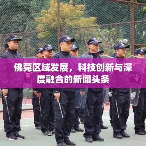 佛莞區(qū)域發(fā)展，科技創(chuàng)新與深度融合的新聞?lì)^條
