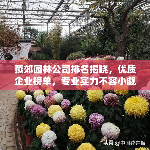 燕郊園林公司排名揭曉，優(yōu)質企業(yè)榜單，專業(yè)實力不容小覷！