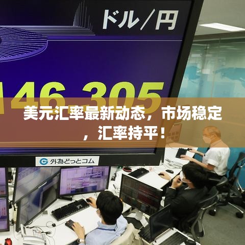 美元匯率最新動態(tài)，市場穩(wěn)定，匯率持平！