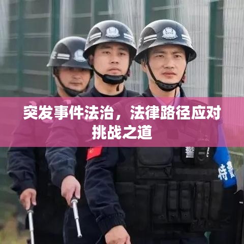 突發(fā)事件法治，法律路徑應(yīng)對挑戰(zhàn)之道
