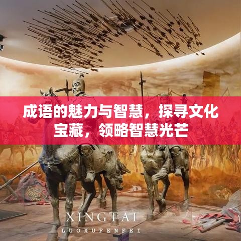 成語的魅力與智慧，探尋文化寶藏，領略智慧光芒