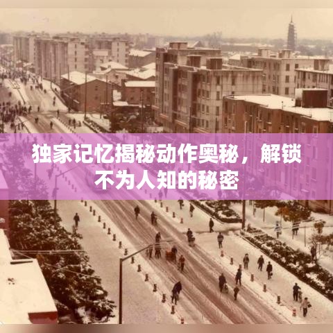獨家記憶揭秘動作奧秘，解鎖不為人知的秘密