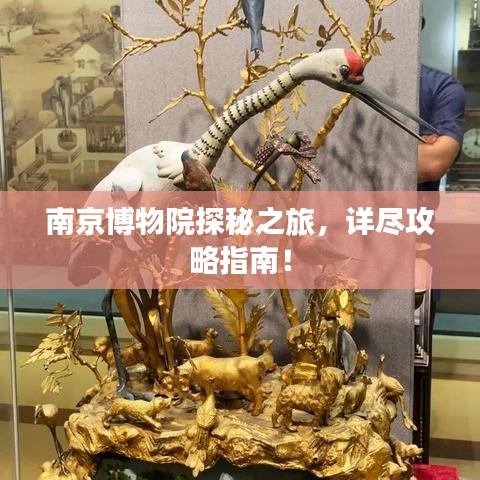 南京博物院探秘之旅，詳盡攻略指南！