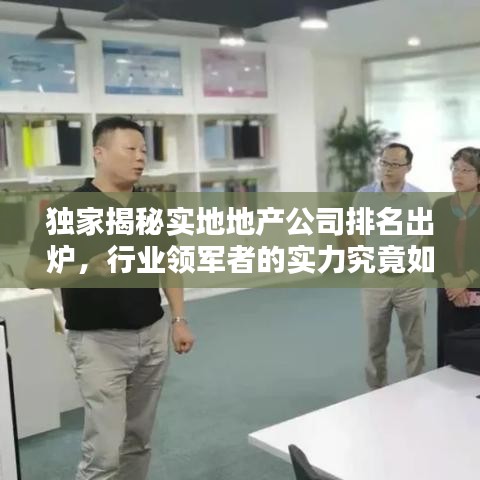 獨(dú)家揭秘實(shí)地地產(chǎn)公司排名出爐，行業(yè)領(lǐng)軍者的實(shí)力究竟如何？