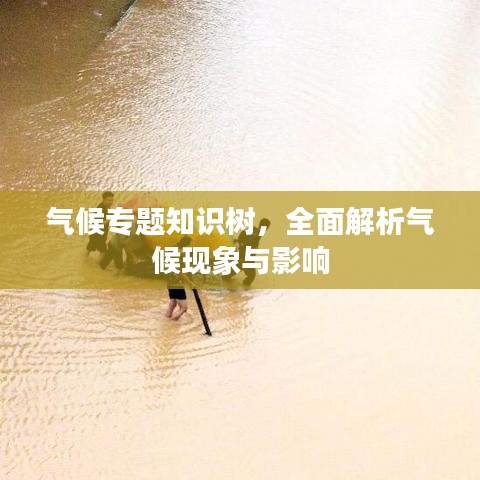 氣候專題知識樹，全面解析氣候現(xiàn)象與影響