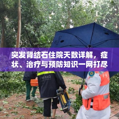 突發(fā)腎結(jié)石住院天數(shù)詳解，癥狀、治療與預(yù)防知識(shí)一網(wǎng)打盡