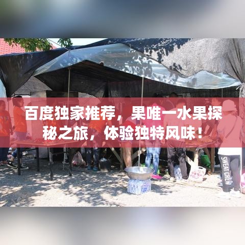 百度獨家推薦，果唯一水果探秘之旅，體驗獨特風(fēng)味！